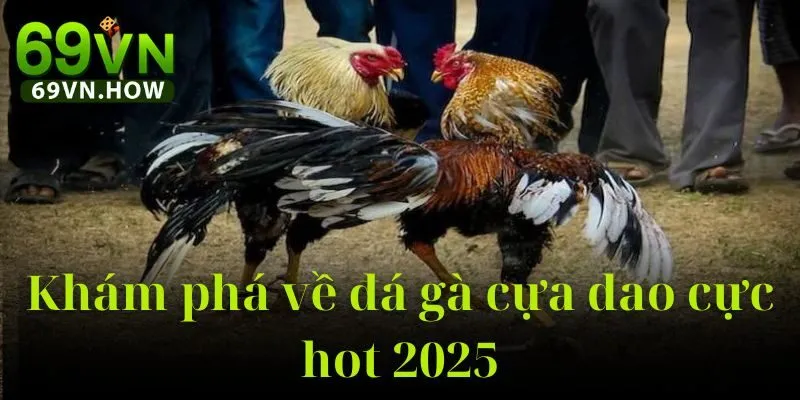 Đá Gà Cựa Dao 69vn: Hướng Dẫn Toàn Tập Cho Tân Thủ 2 Đá Gà Cựa Dao 69vn: Hướng Dẫn Toàn Tập Cho Tân Thủ