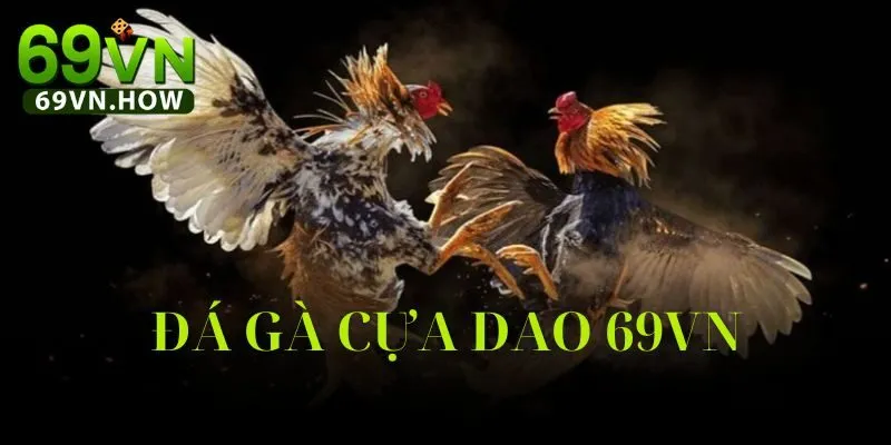 Đá Gà Cựa Dao 69vn: Hướng Dẫn Toàn Tập Cho Tân Thủ