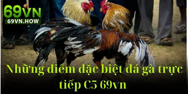 Đá Gà Trực Tiếp C5 69vn: Sân Chơi Cá Cược Đỉnh Cao 4 Đá Gà Trực Tiếp C5 69vn: Sân Chơi Cá Cược Đỉnh Cao