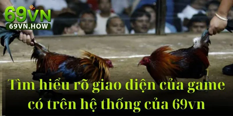 Đá Gà Cựa Sắt 69vn: Trải Nghiệm Đỉnh Cao Năm 2025 4 Đá Gà Cựa Sắt 69vn: Trải Nghiệm Đỉnh Cao Năm 2025