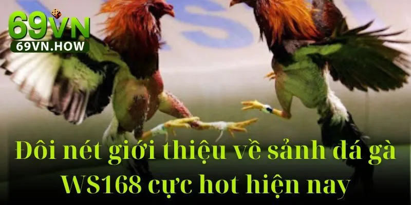 Đá Gà Cựa Sắt 69vn: Trải Nghiệm Đỉnh Cao Năm 2025 5 Đá Gà Cựa Sắt 69vn: Trải Nghiệm Đỉnh Cao Năm 2025