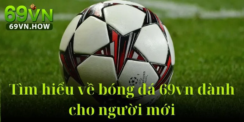 Khám Phá Bóng Đá 69VN - Sân Chơi Thể Thao Đặc Sắc 1 Khám Phá Bóng Đá 69VN - Sân Chơi Thể Thao Đặc Sắc