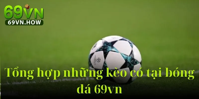 Khám Phá Bóng Đá 69VN - Sân Chơi Thể Thao Đặc Sắc 3 Khám Phá Bóng Đá 69VN - Sân Chơi Thể Thao Đặc Sắc