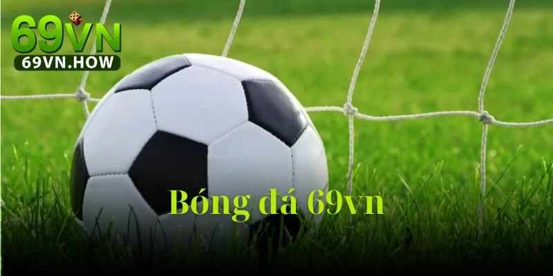 Khám Phá Bóng Đá 69VN - Sân Chơi Thể Thao Đặc Sắc