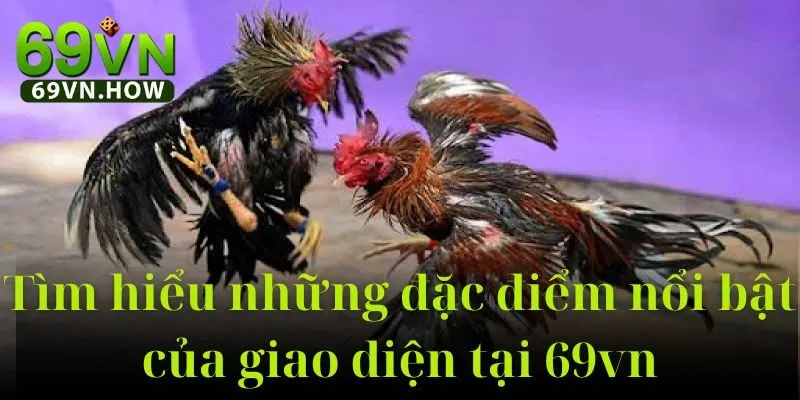 Đá Gà Thomo 69vn: Hướng Dẫn Toàn Diện Cho Người Mới 4 Đá Gà Thomo 69vn: Hướng Dẫn Toàn Diện Cho Người Mới