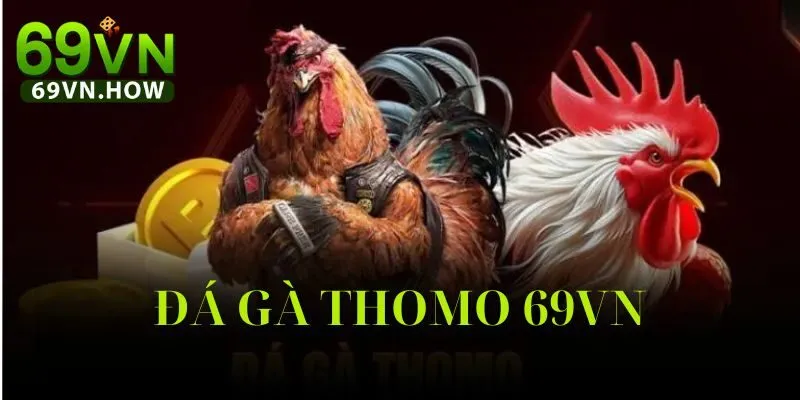 Đá Gà Thomo 69vn: Hướng Dẫn Toàn Diện Cho Người Mới 